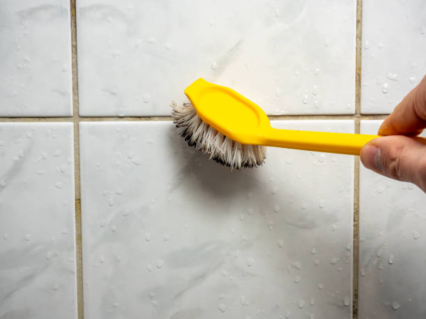 Best Emergency Mold Removal  in Berkeley, CA