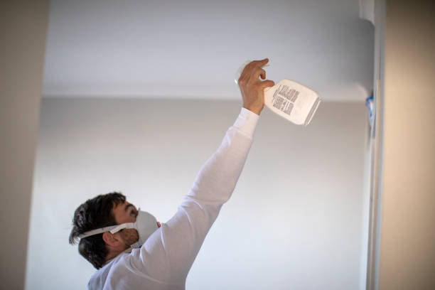 Best Mold Remediation  in Berkeley, CA