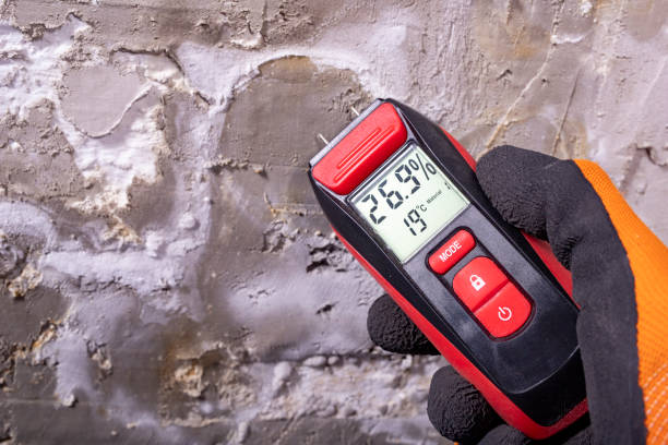 Best Mold Testing  in Berkeley, CA