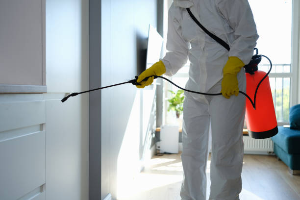 Best Toxic Mold Removal  in Berkeley, CA
