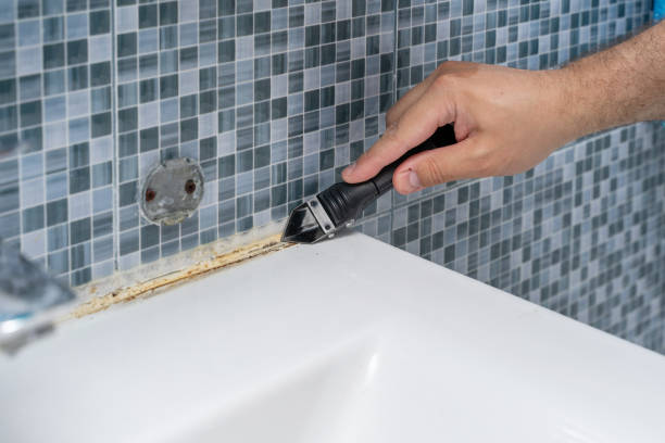 Best Mold Removal Company Near Me  in Berkeley, CA
