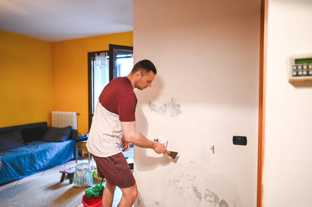 Best Office Mold Removal Services  in Berkeley, CA
